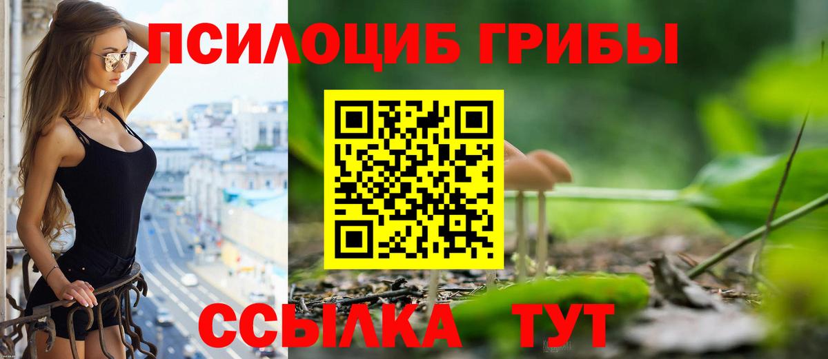 Псилоцибиновые грибы мицелий Морозовск